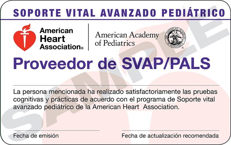15 2334 PALS Provider Course Card 3-Card SPA 24 PIEZAS
